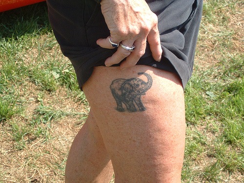 Фото и значение татуировки " Слон ". X_29c13fd0