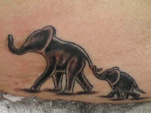 Фото и значение татуировки " Слон ". X_d4f8359a